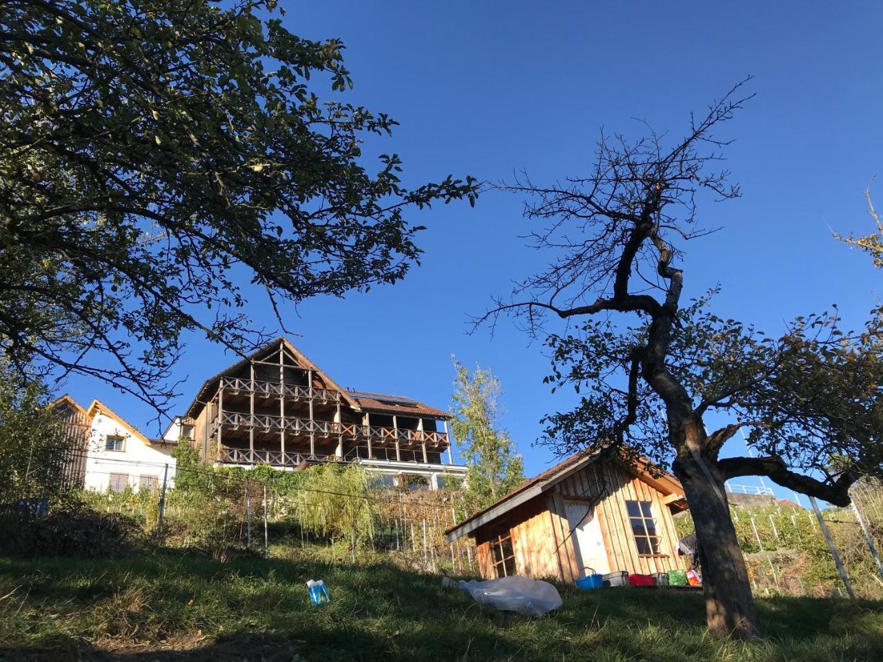 Bed and Breakfast Atelier 67 Oberschan Екстер'єр фото